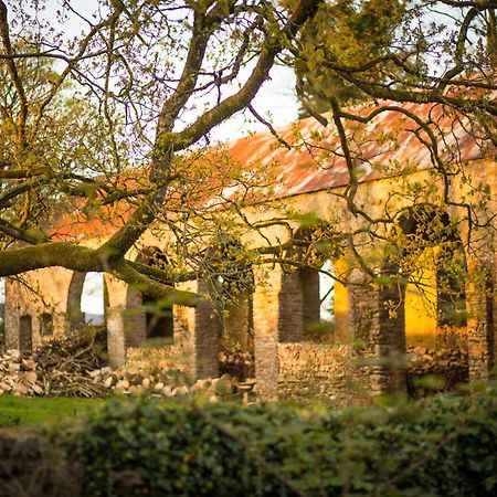 Roundwood House Hotell Mountrath Eksteriør bilde